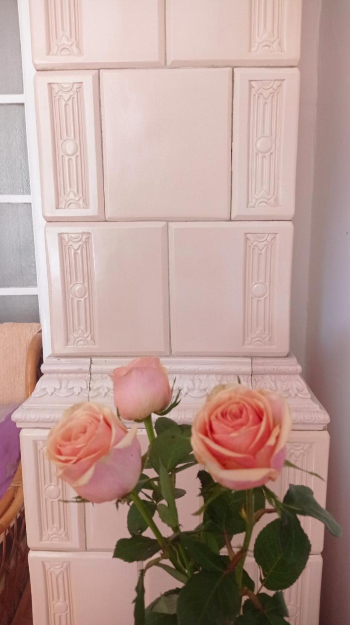Belgrade Apartment Happy Garden Ngoại thất bức ảnh