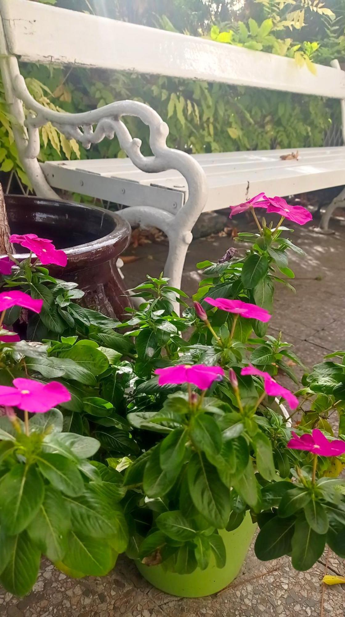 Belgrade Apartment Happy Garden Ngoại thất bức ảnh