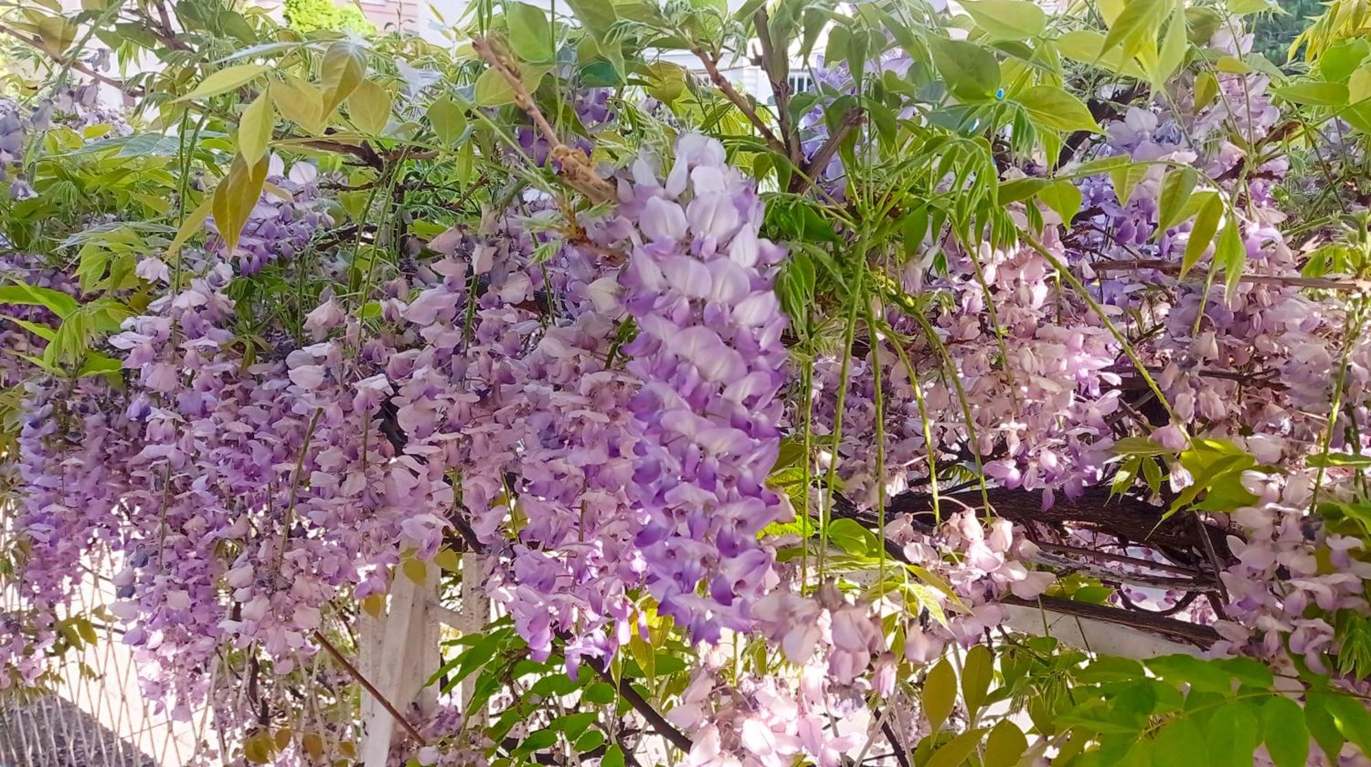 Belgrade Apartment Happy Garden Ngoại thất bức ảnh