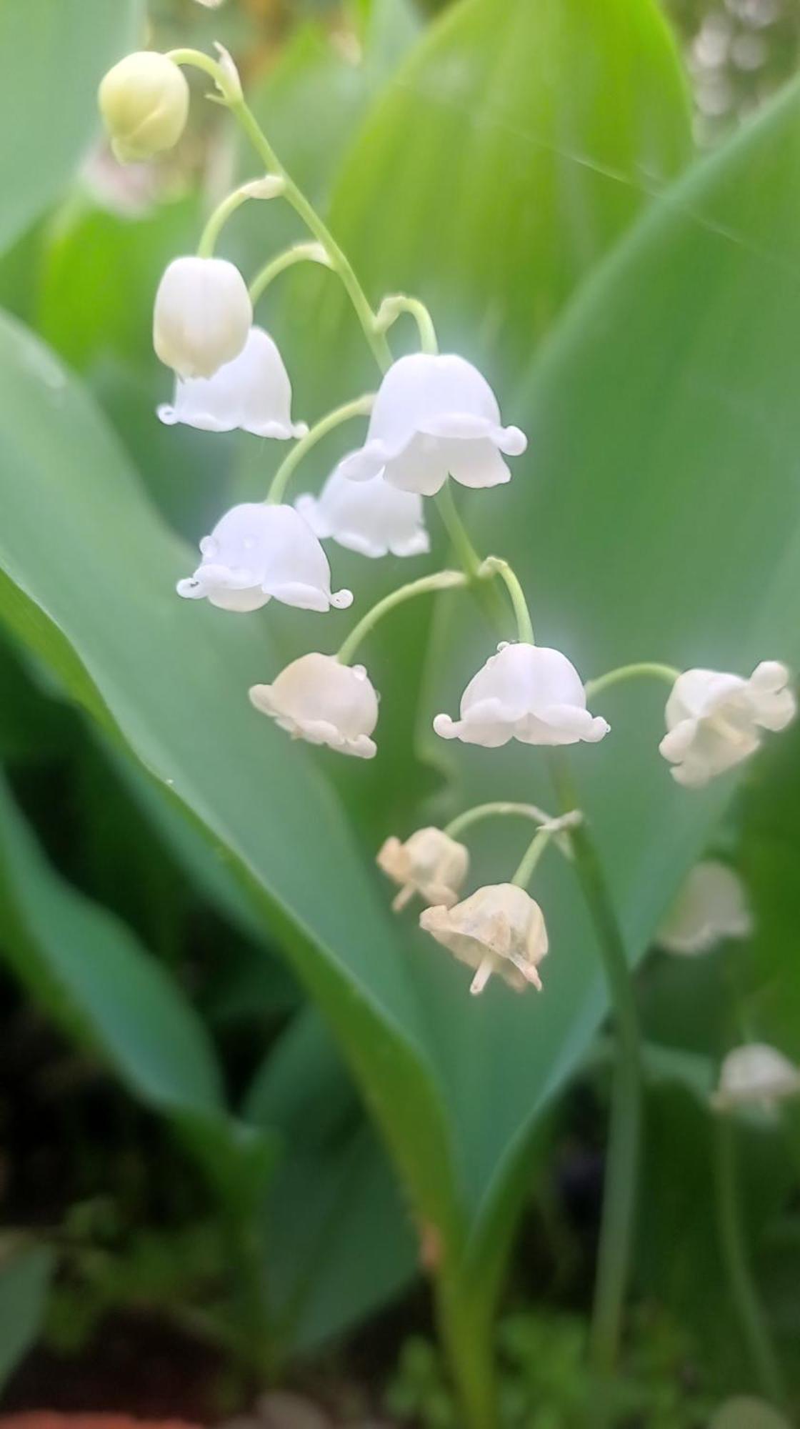 Belgrade Apartment Happy Garden Ngoại thất bức ảnh