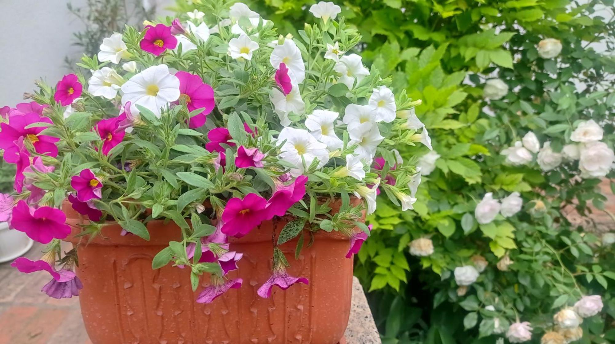 Belgrade Apartment Happy Garden Ngoại thất bức ảnh